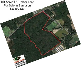 101 Acres Of Timber Land For Sale In Sampson County Nc!