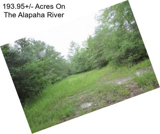 193.95+/- Acres On The Alapaha River