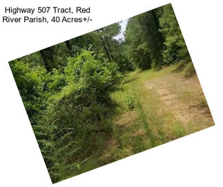 Highway 507 Tract, Red River Parish, 40 Acres+/-