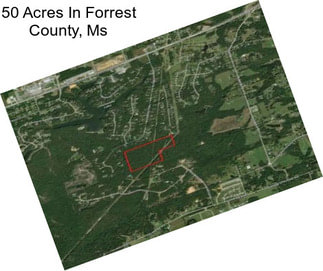 50 Acres In Forrest County, Ms