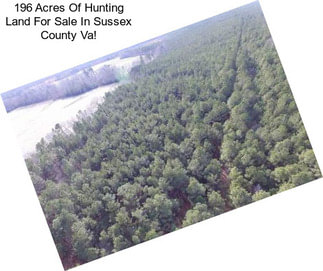 196 Acres Of Hunting Land For Sale In Sussex County Va!