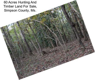 60 Acres Hunting And Timber Land For Sale, Simpson County, Ms.