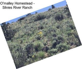 O\'malley Homestead - Silvies River Ranch