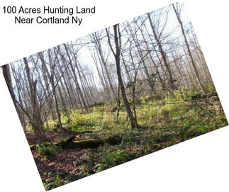 100 Acres Hunting Land Near Cortland Ny