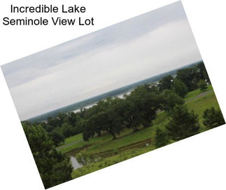 Incredible Lake Seminole View Lot