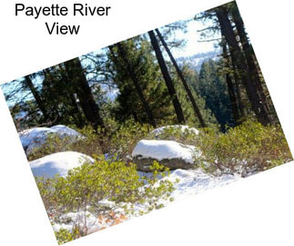 Payette River View
