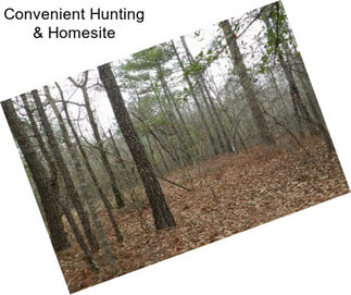 Convenient Hunting & Homesite