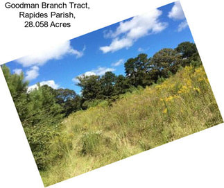Goodman Branch Tract, Rapides Parish, 28.058 Acres