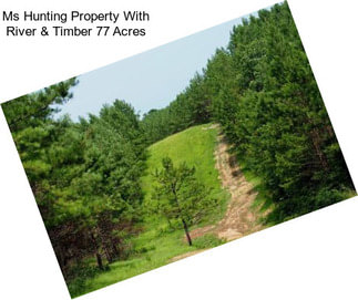 Ms Hunting Property With River & Timber 77 Acres