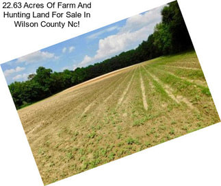 22.63 Acres Of Farm And Hunting Land For Sale In Wilson County Nc!