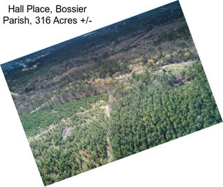 Hall Place, Bossier Parish, 316 Acres +/-