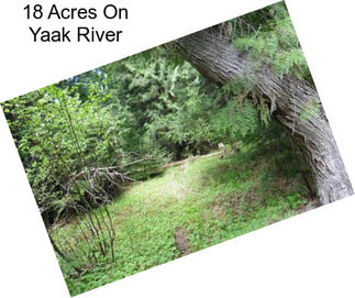 18 Acres On Yaak River