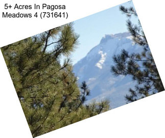 5+ Acres In Pagosa Meadows 4 (731641)