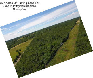 377 Acres Of Hunting Land For Sale In Pittsylvania/halifax County Va!
