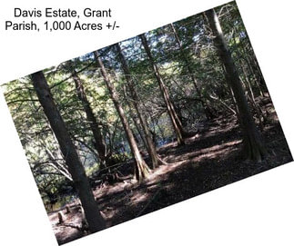 Davis Estate, Grant Parish, 1,000 Acres +/-