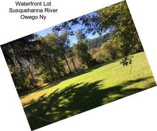 Waterfront Lot Susquehanna River Owego Ny