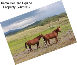 Tierra Del Oro Equine Property (748198)