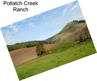 Potlatch Creek Ranch