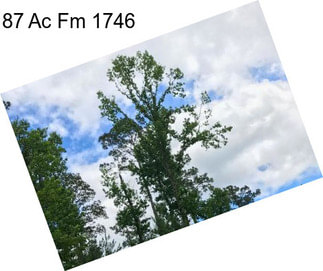 87 Ac Fm 1746