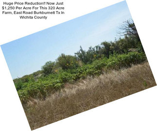 Huge Price Reduction!! Now Just $1,250 Per Acre For This 320 Acre Farm, East Road Burkburnett Tx In Wichita County