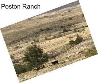 Poston Ranch