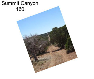 Summit Canyon 160