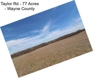 Taylor Rd - 77 Acres - Wayne County