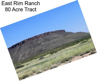 East Rim Ranch 80 Acre Tract