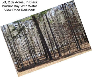 Lot, 2.82 Acres, In Black Warrior Bay With Water View Price Reduced!