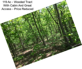 119 Ac - Wooded Tract With Cabin And Great Access - Price Reduced