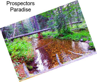 Prospectors Paradise