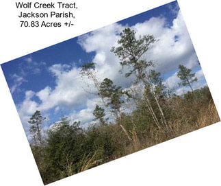 Wolf Creek Tract, Jackson Parish, 70.83 Acres +/-