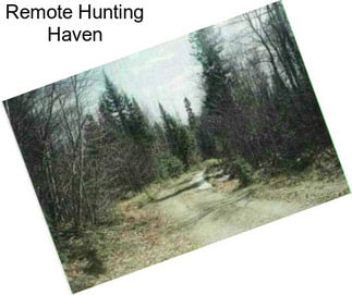 Remote Hunting Haven