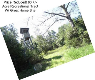 Price Reduced! 80 +/- Acre Recreational Tract W/ Great Home Site