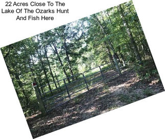 22 Acres Close To The Lake Of The Ozarks Hunt And Fish Here