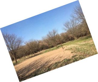 82+/- Acres Harper County Kansas
Small Farm - Big Hunting Potential!!