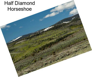 Half Diamond Horseshoe