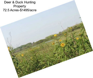 Deer & Duck Hunting Property 72.5 Acres-$1495/acre