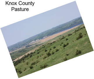 Knox County Pasture
