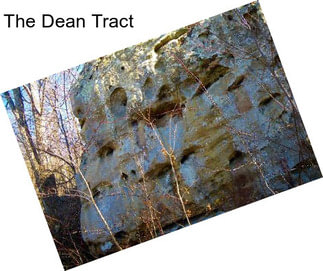 The Dean Tract
