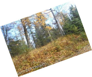 Alaskan Residential Or Recreational Lot With Large Cottonwood, Birch And Spruce Trees.
Mls 17-17033