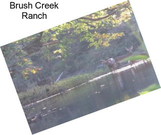 Brush Creek Ranch