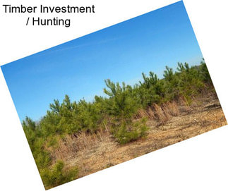 Timber Investment / Hunting