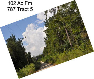 102 Ac Fm 787 Tract 5