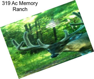 319 Ac Memory Ranch