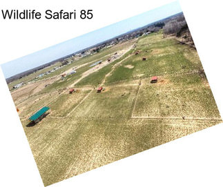 Wildlife Safari 85