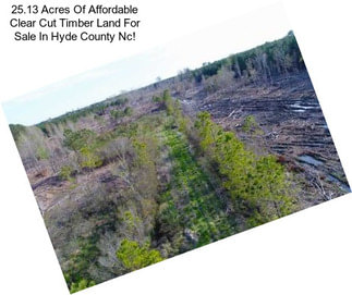 25.13 Acres Of Affordable Clear Cut Timber Land For Sale In Hyde County Nc!