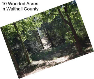 10 Wooded Acres In Walthall County