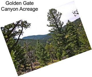 Golden Gate Canyon Acreage