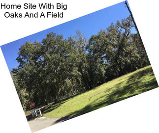 Home Site With Big Oaks And A Field